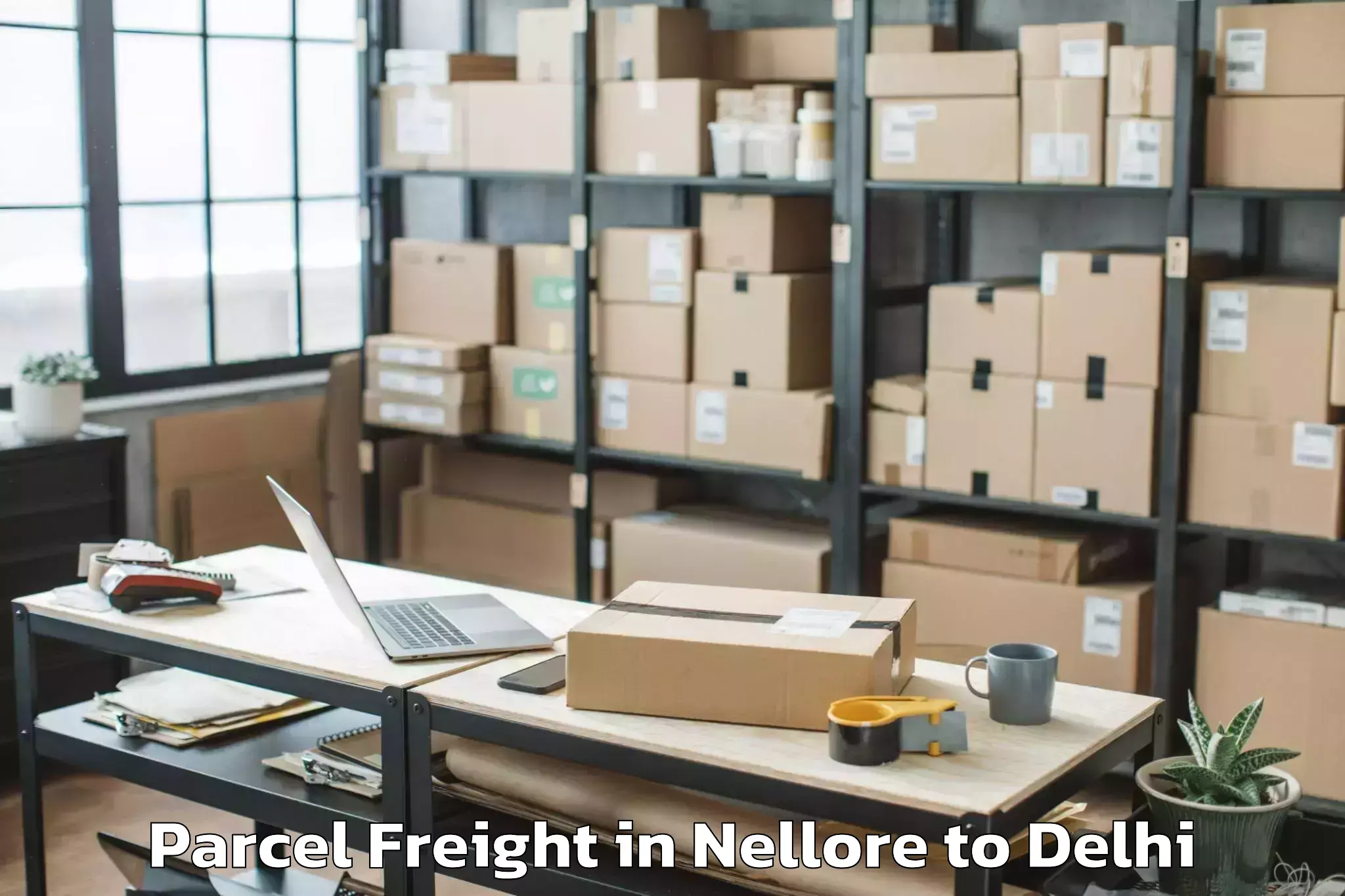 Book Nellore to Delhi Parcel Freight Online